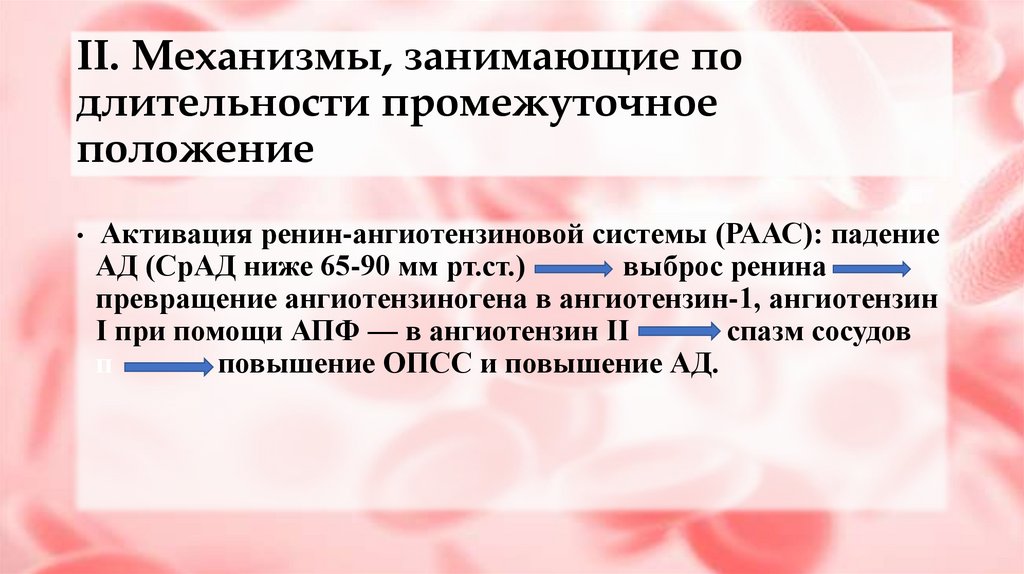II. Механизмы, занимающие по длительности промежуточное положение