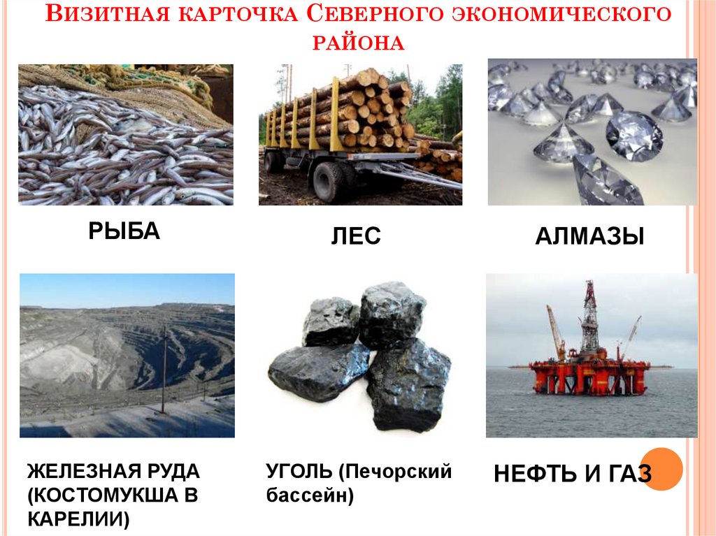 Визитная карточка Северного экономического района