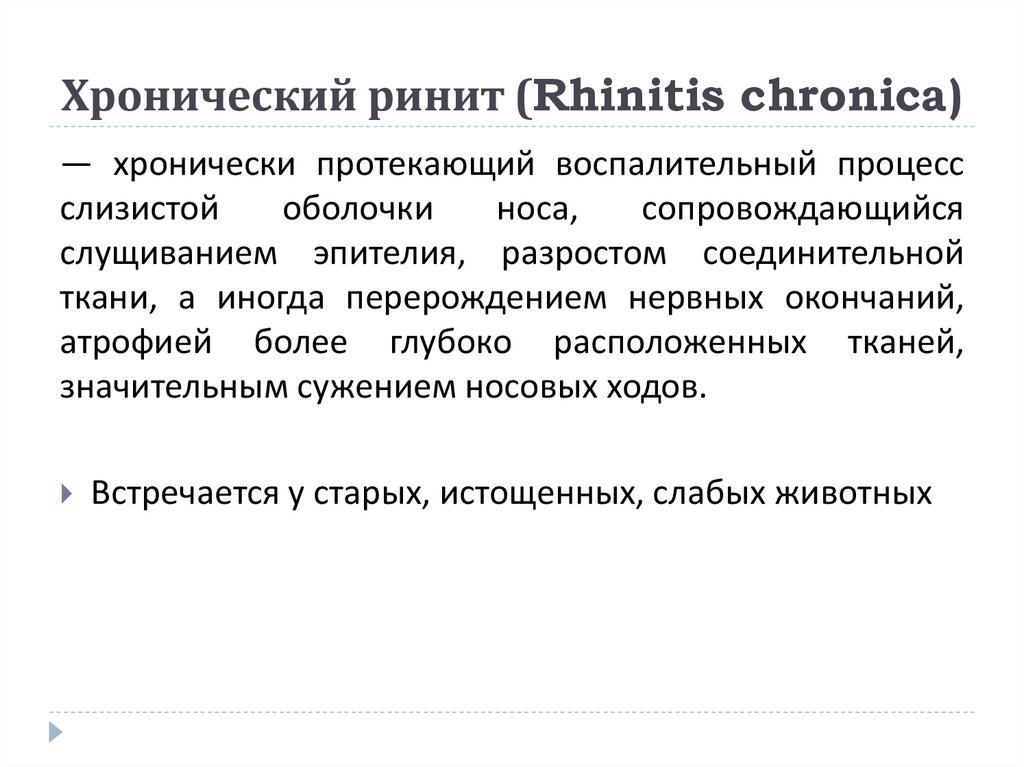 Хронический ринит (Rhinitis chronica)