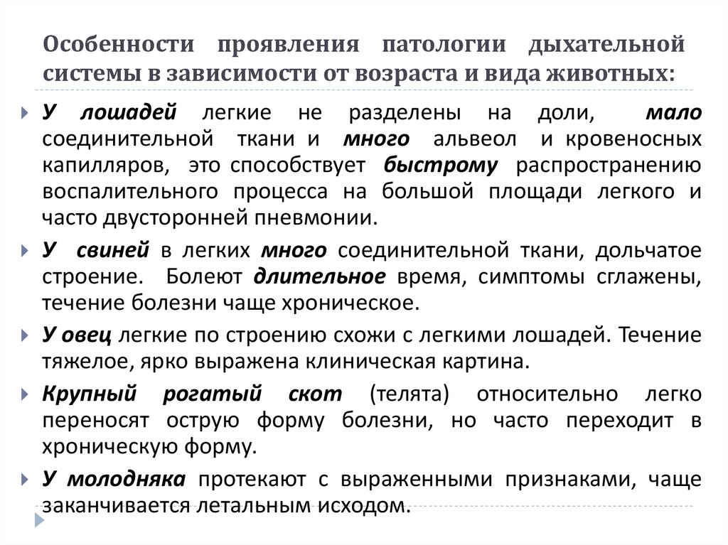 Особенности проявления патологии дыхательной системы в зависимости от возраста и вида животных: