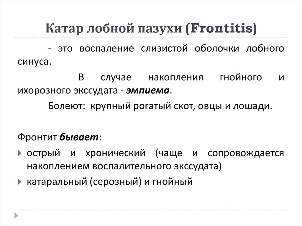 Катар лобной пазухи (Frontitis)