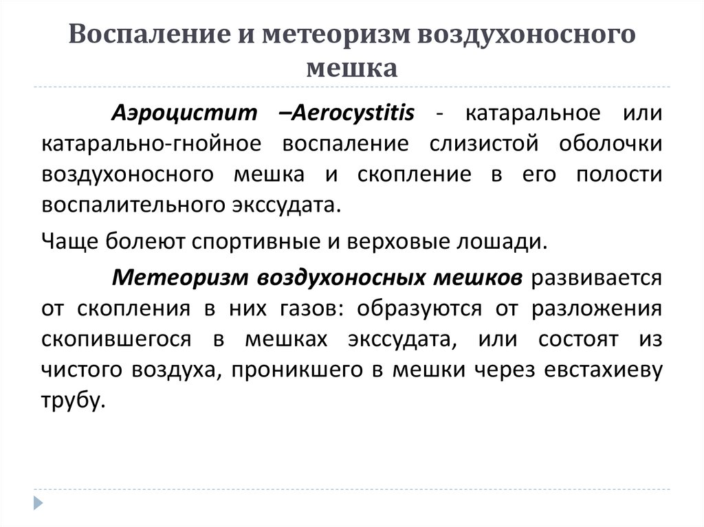 Воспаление и метеоризм воздухоносного мешка