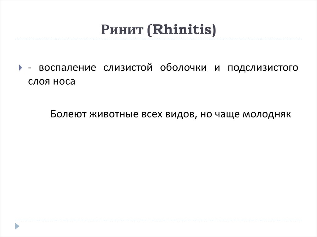 Ринит (Rhinitis)