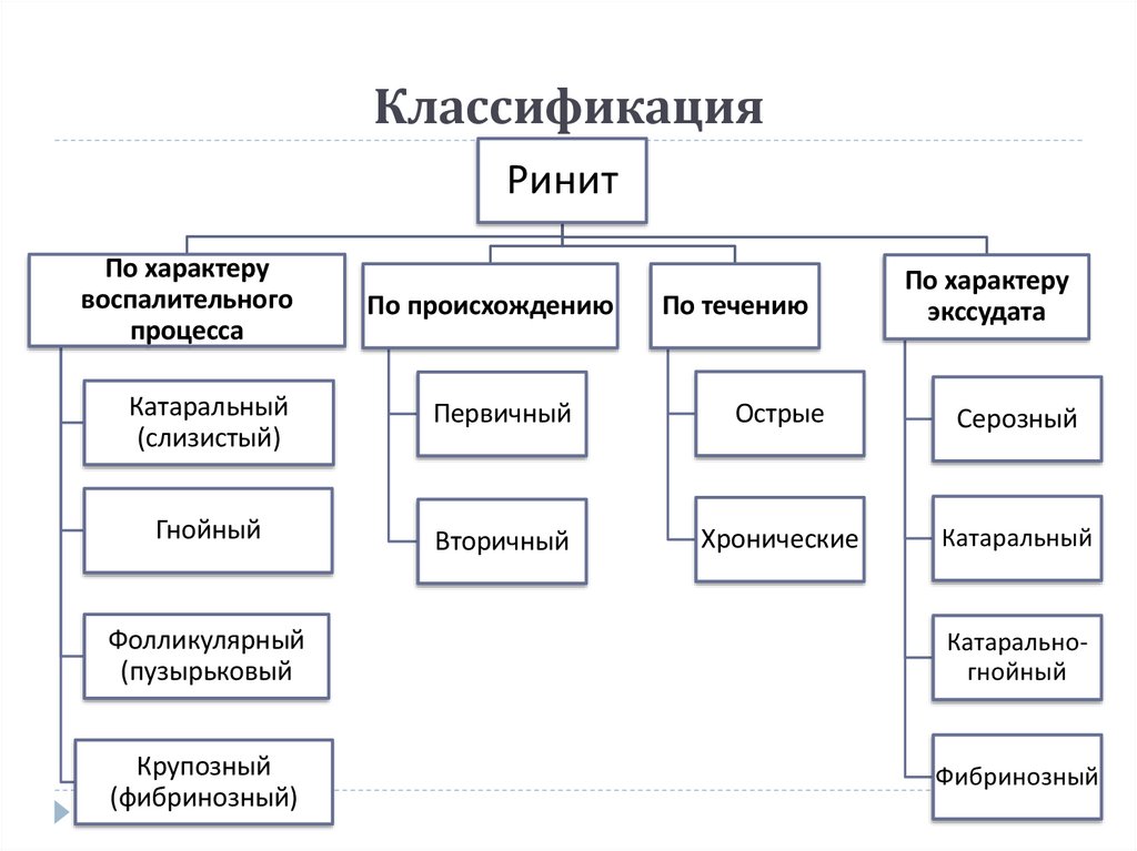 Классификация