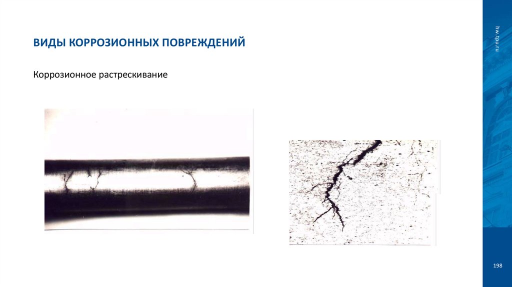 Виды коррозионных повреждений
