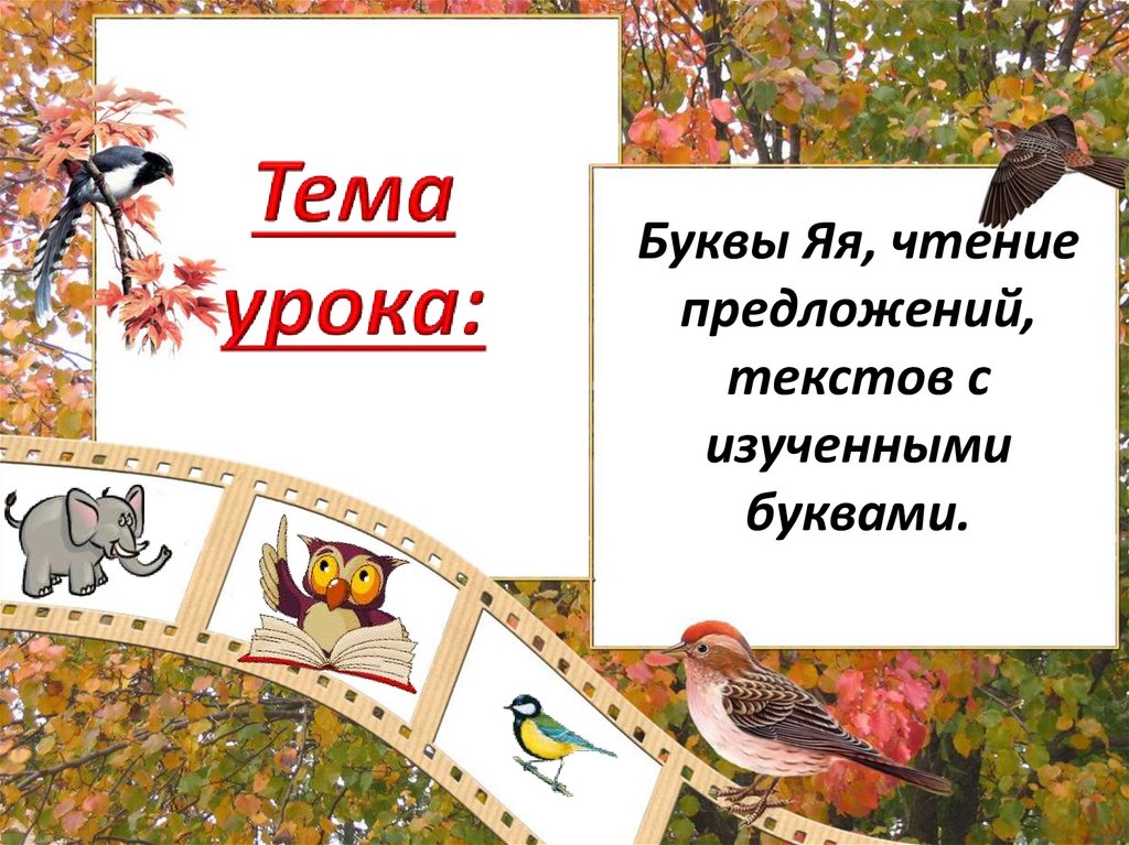 Тема урока: