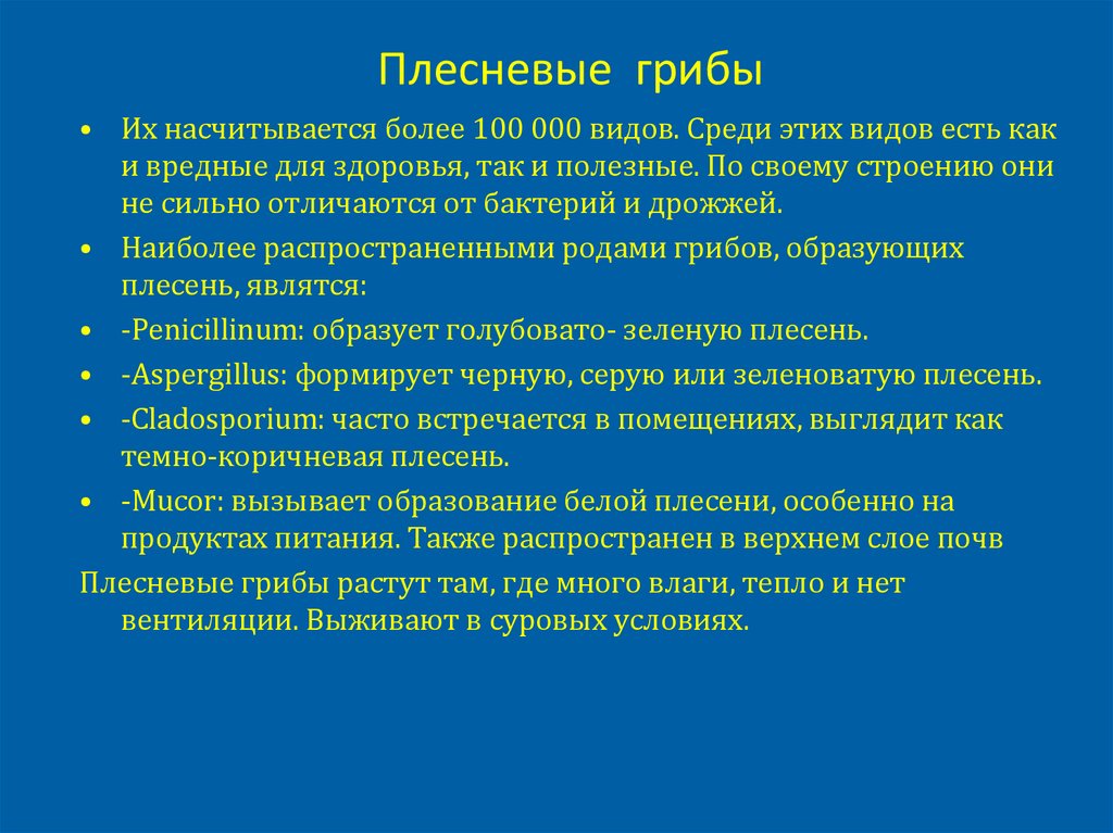 Плесневые грибы