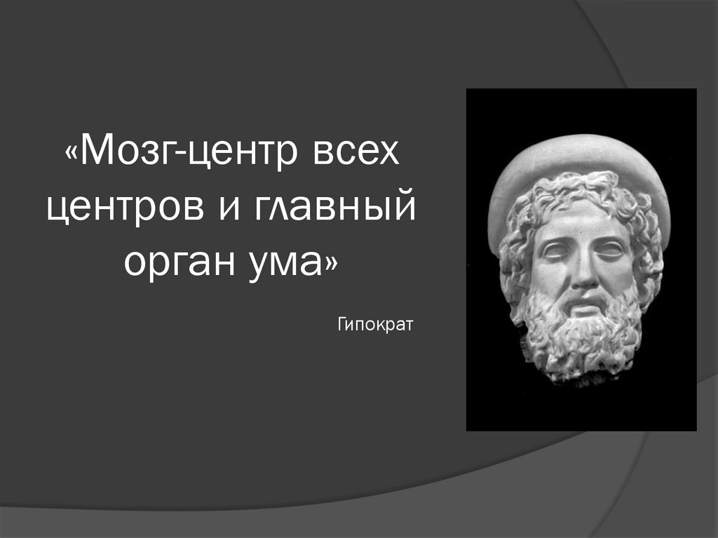 «Мозг-центр всех центров и главный орган ума» Гипократ