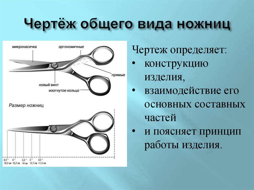 Чертёж общего вида ножниц