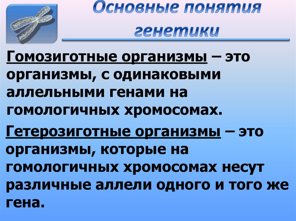Основные понятия генетики