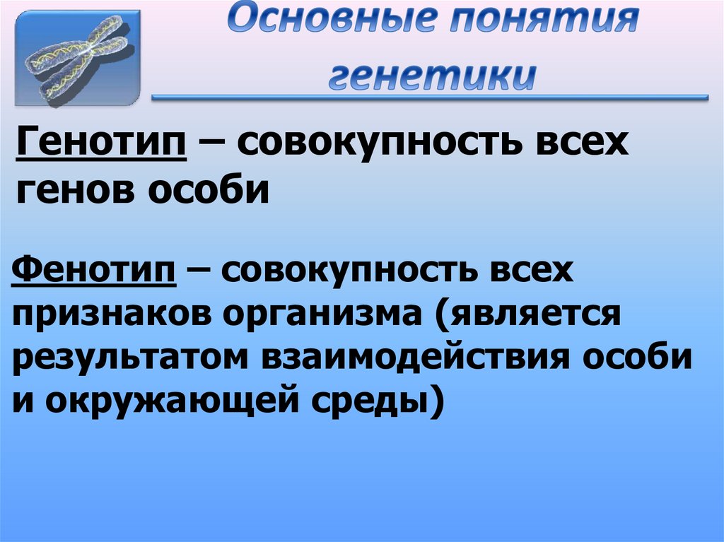 Основные понятия генетики