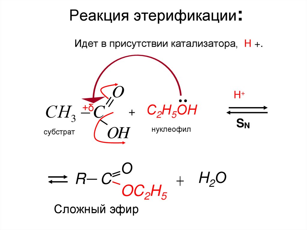 Реакция этерификации: