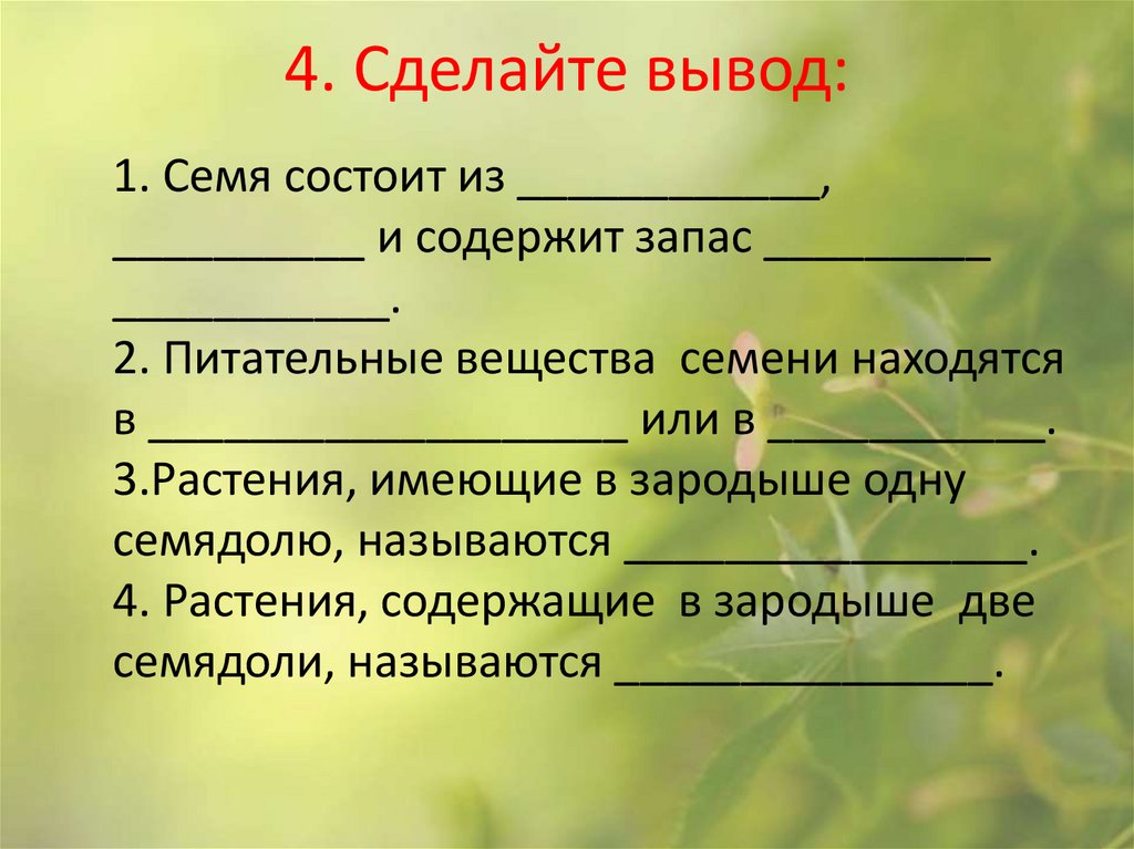 4. Сделайте вывод:
