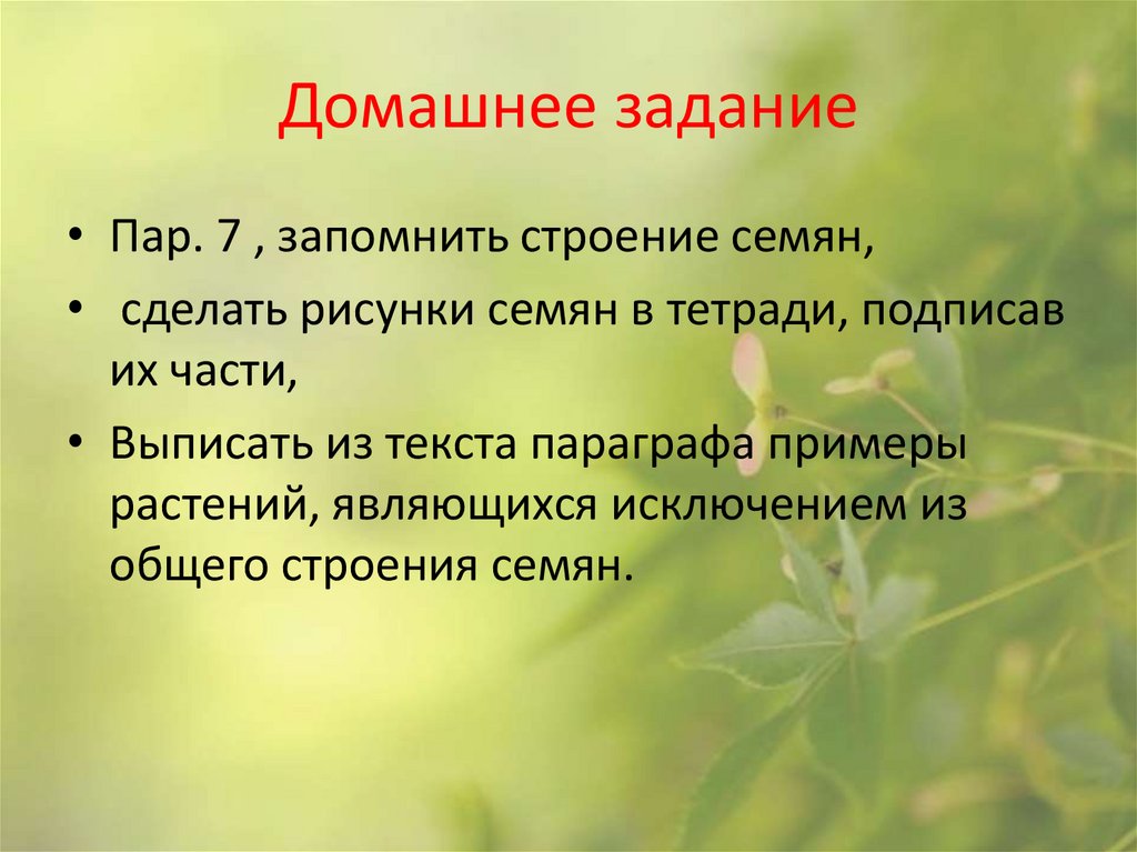 Домашнее задание