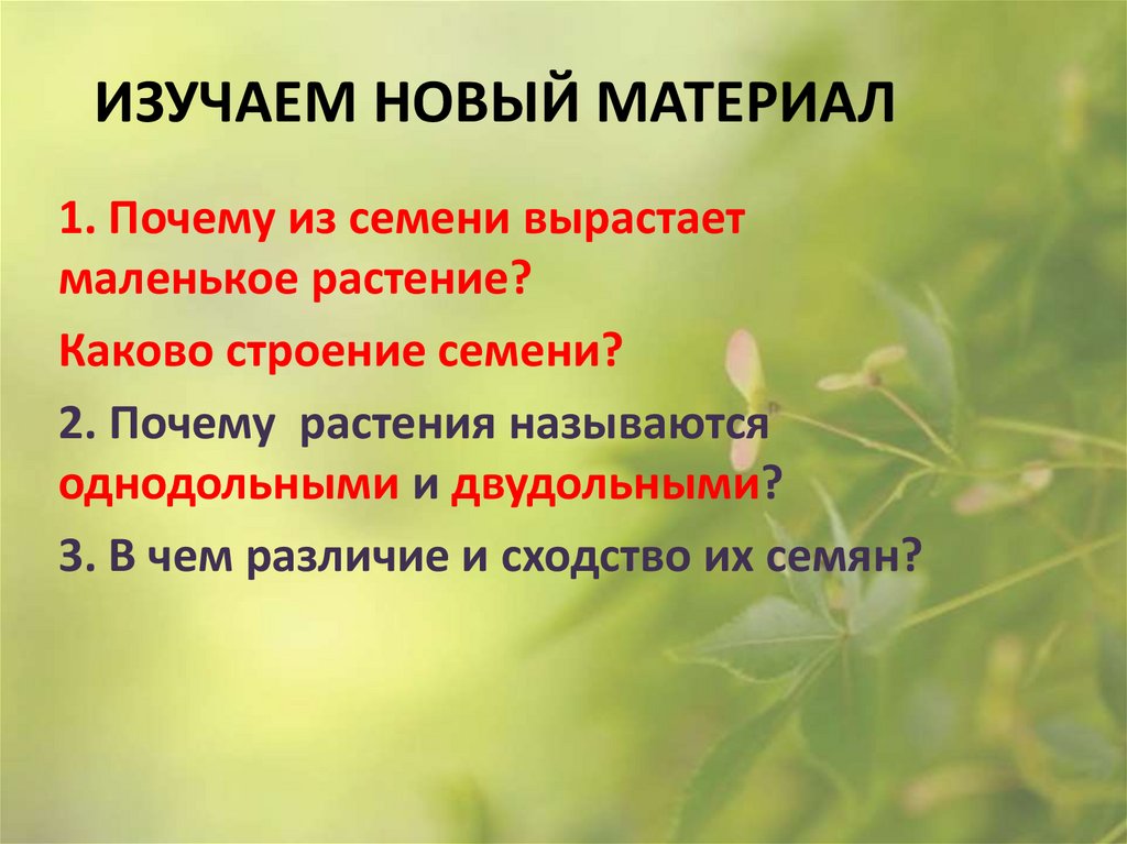 Изучаем новый материал