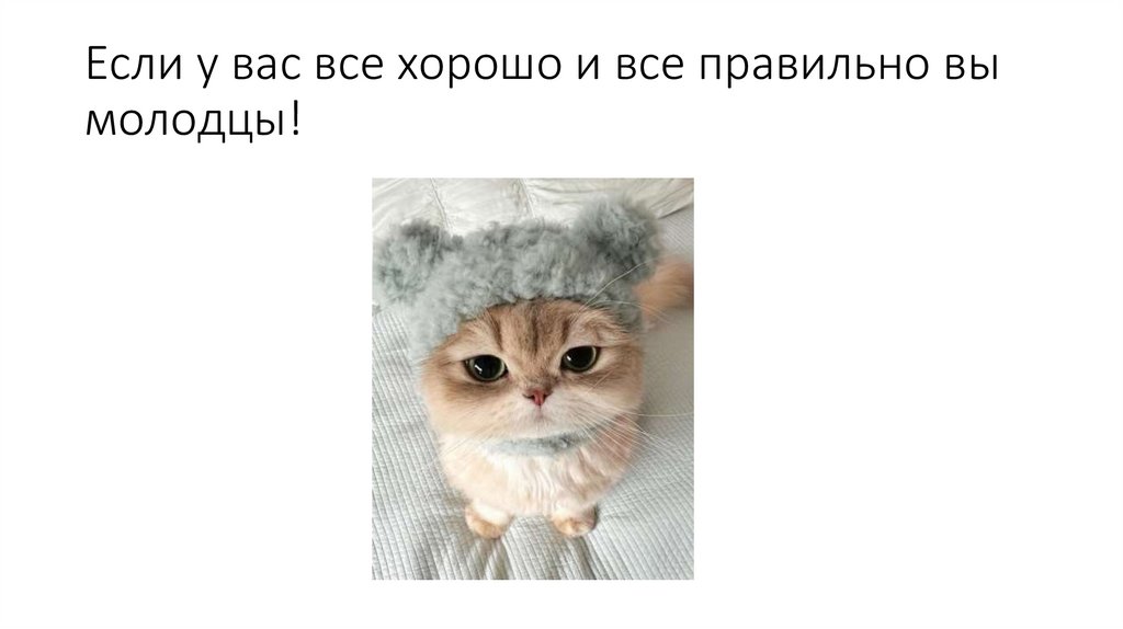 Если у вас все хорошо и все правильно вы молодцы!