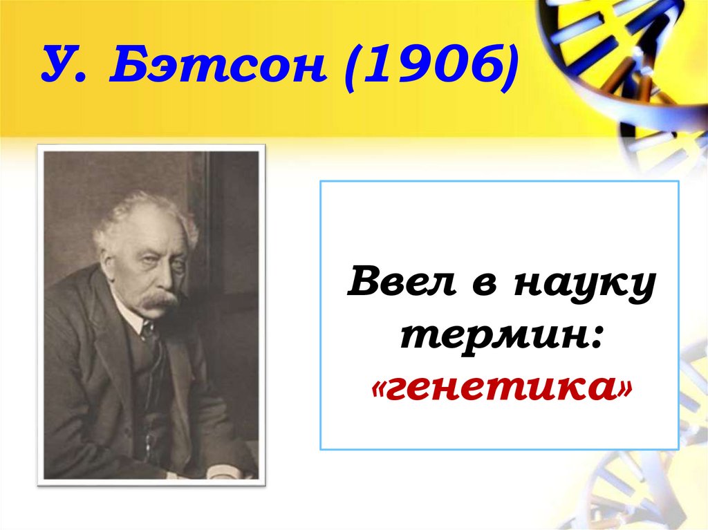 У. Бэтсон (1906)