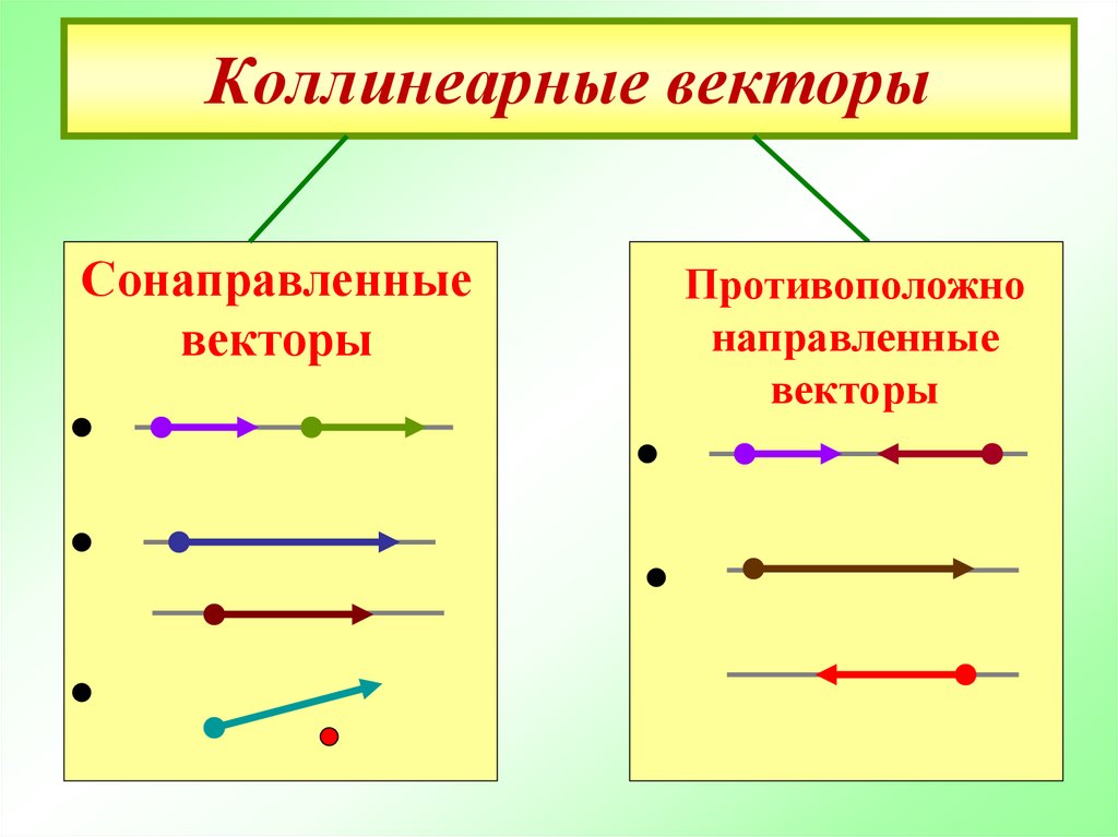 Коллинеарные векторы