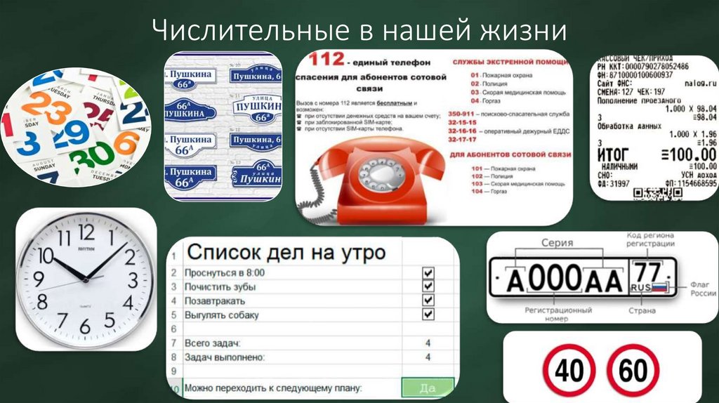 Числительные в нашей жизни