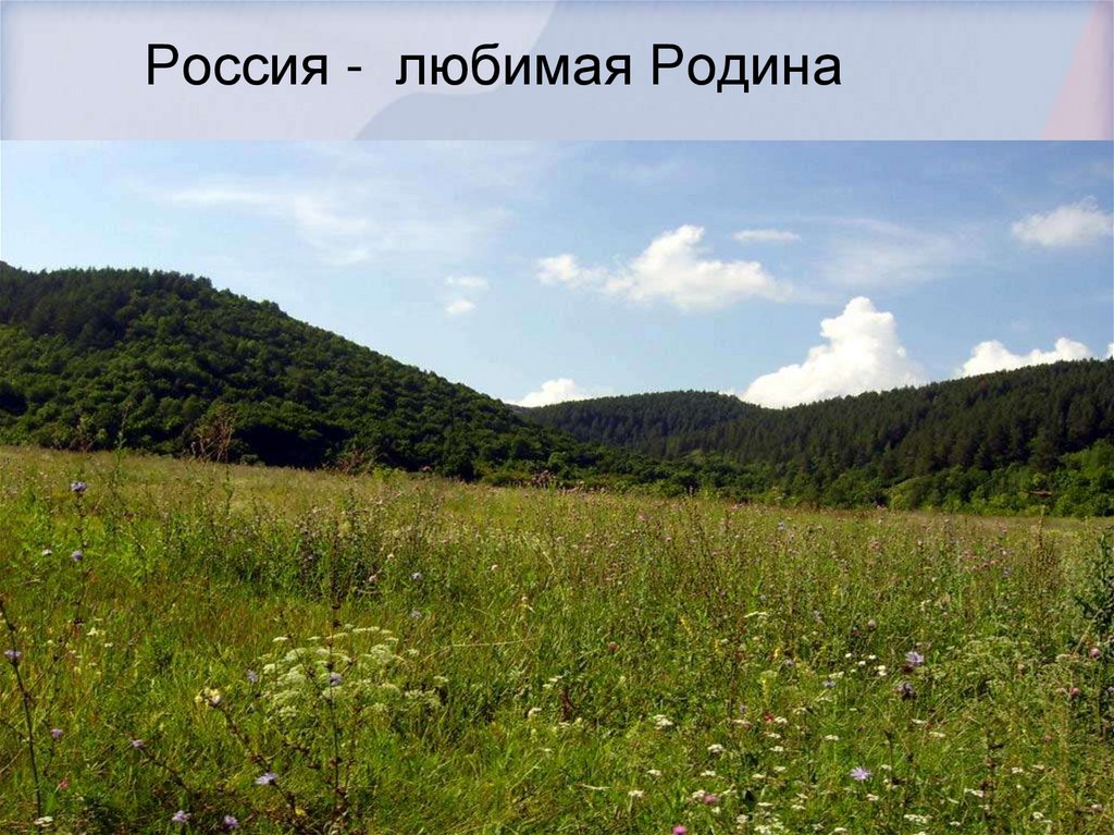 Россия - любимая Родина