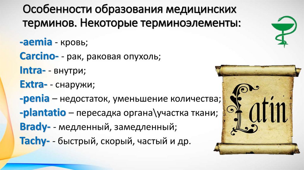 Особенности образования медицинских терминов. Некоторые терминоэлементы: