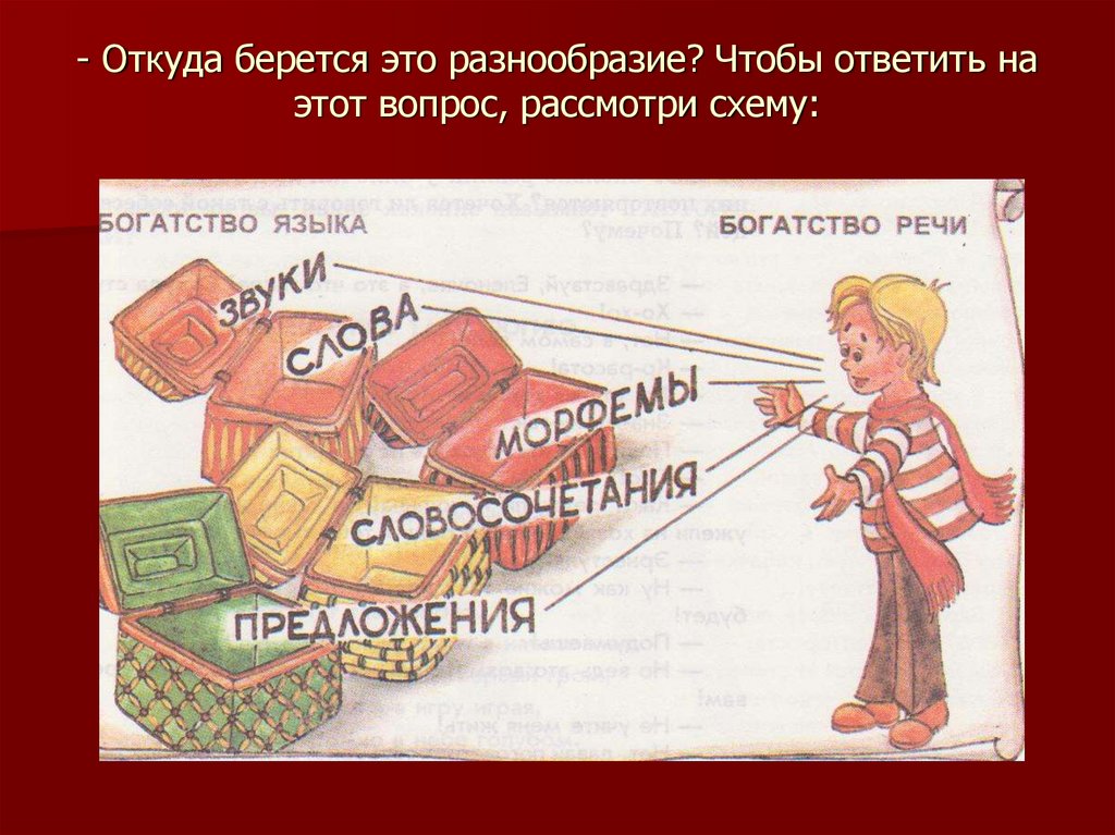 - Откуда берется это разнообразие? Чтобы ответить на этот вопрос, рассмотри схему: