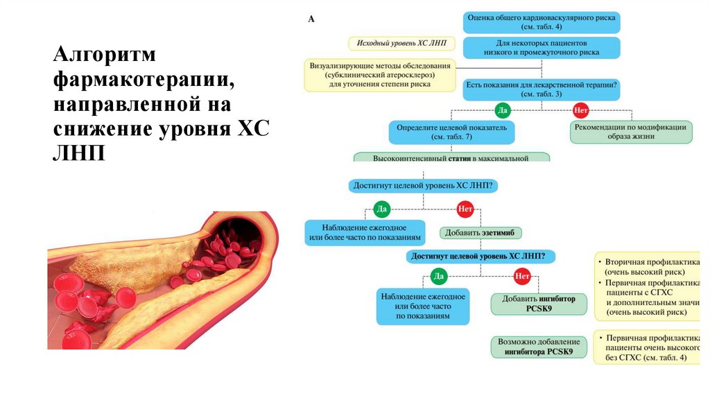 Алгоритм фармакотерапии, направленной на снижение уровня ХС ЛНП