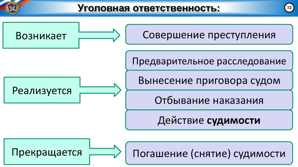 Уголовная ответственность: