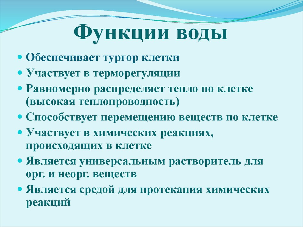 Функции воды