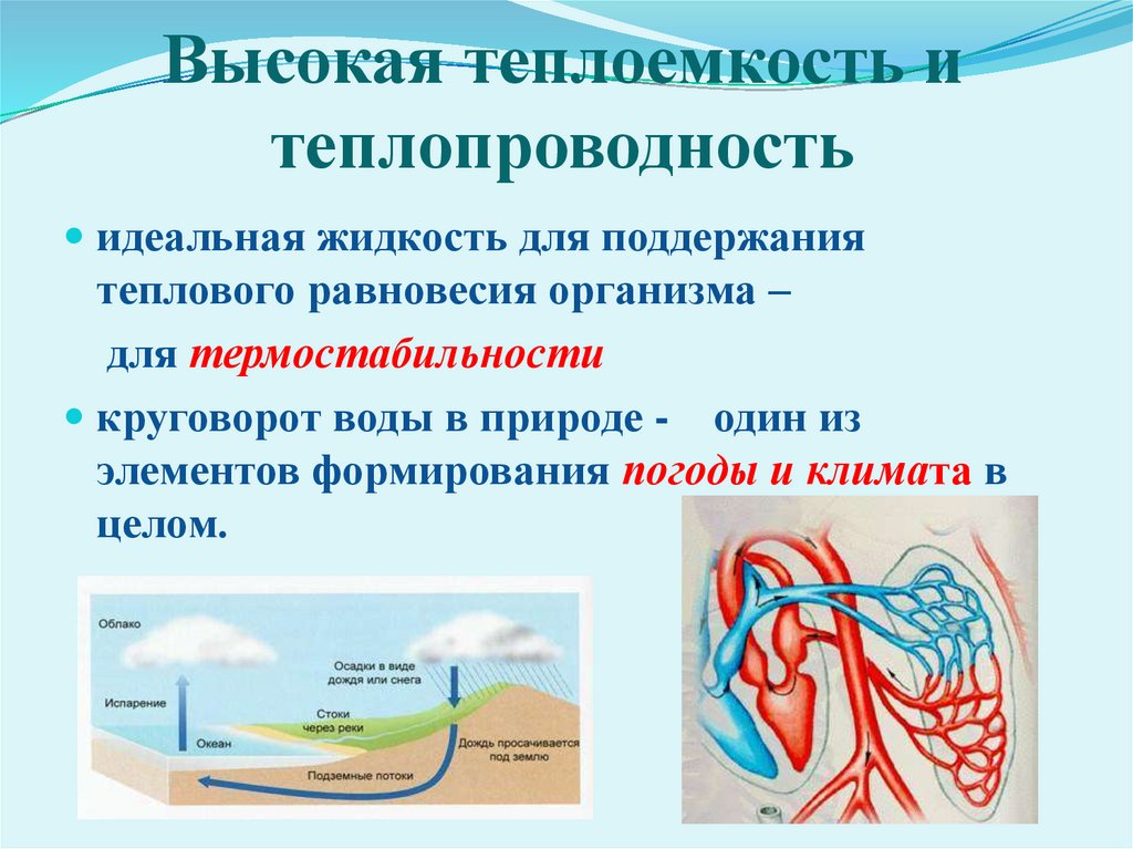 Высокая теплоемкость и теплопроводность