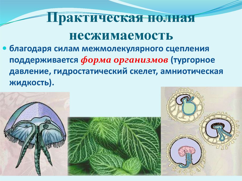 Практическая полная несжимаемость