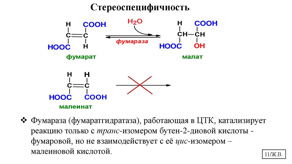 Стереоспецифичность