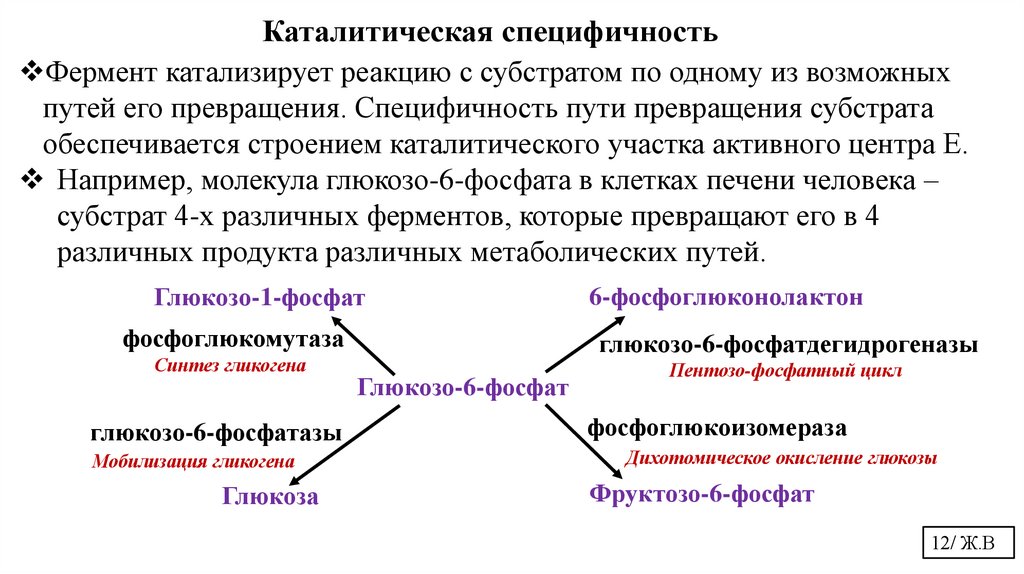 Каталитическая специфичность