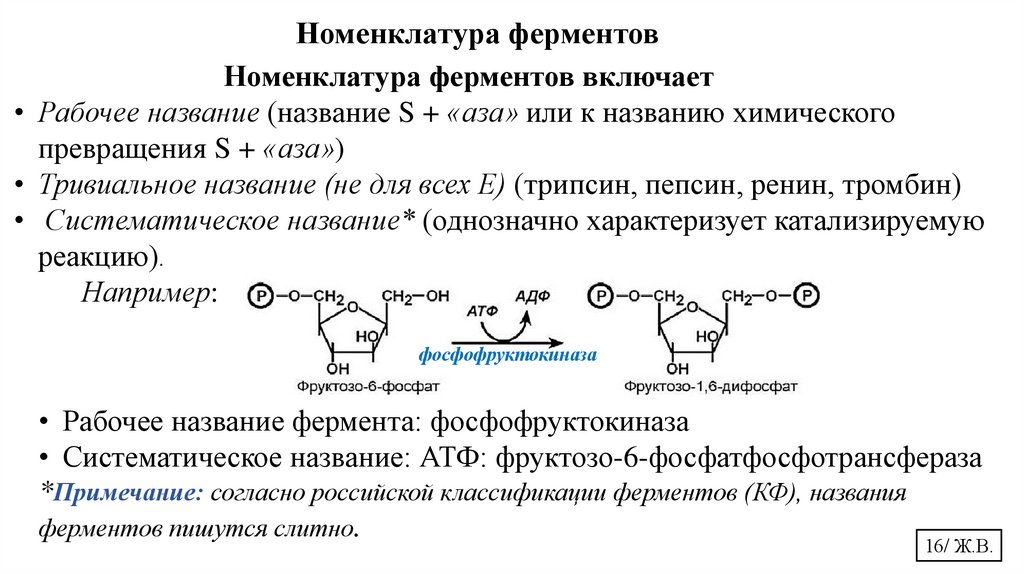 Номенклатура ферментов