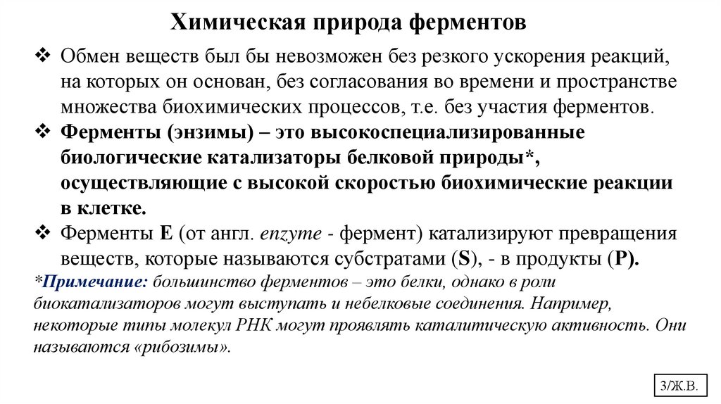 Химическая природа ферментов