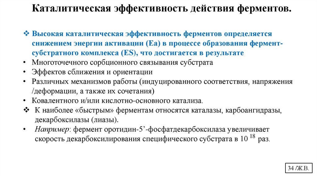 Каталитическая эффективность действия ферментов.