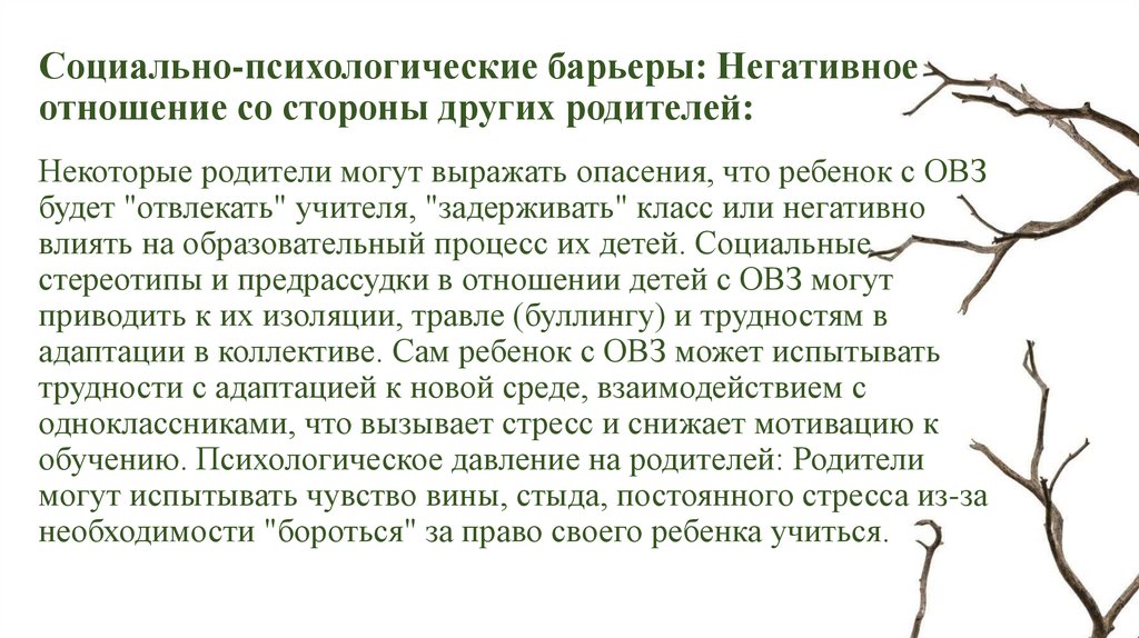 Социально-психологические барьеры: Негативное отношение со стороны других родителей: