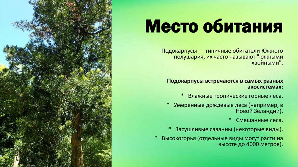 Место обитания