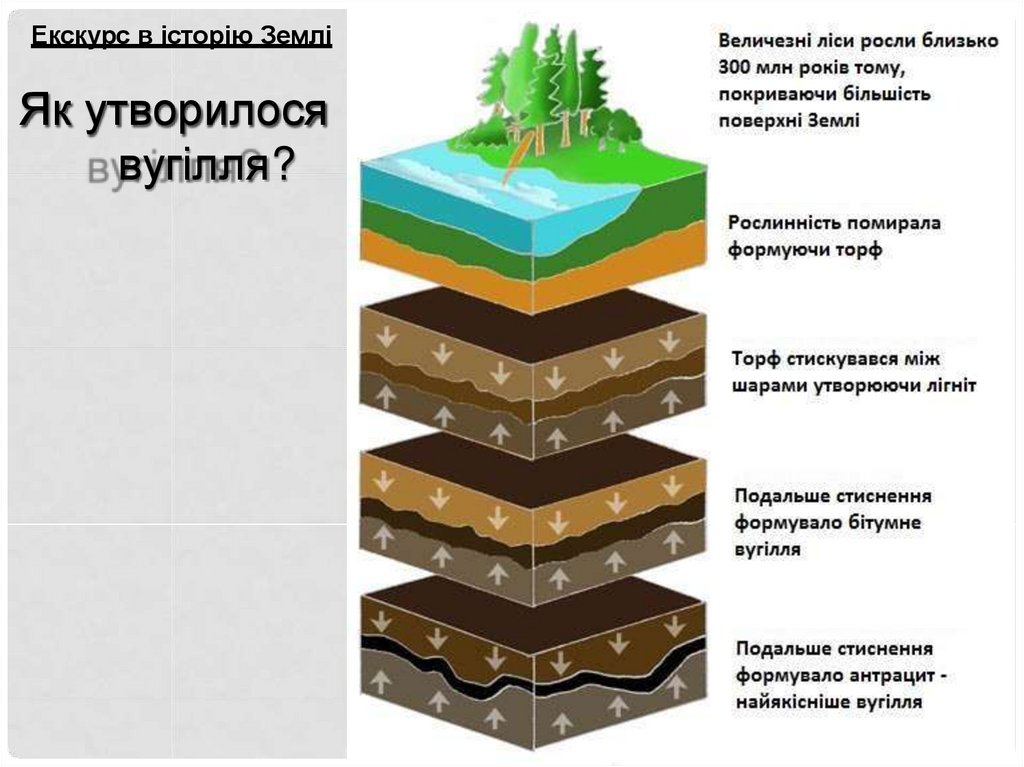 Як утворилося вугілля?