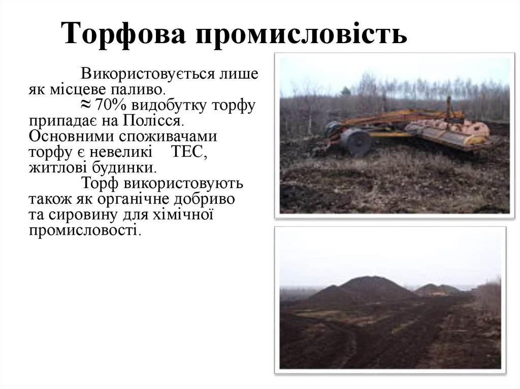 Торфова промисловість