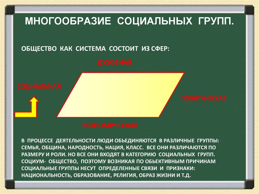 МНОГООБРАЗИЕ СОЦИАЛЬНЫХ ГРУПП.