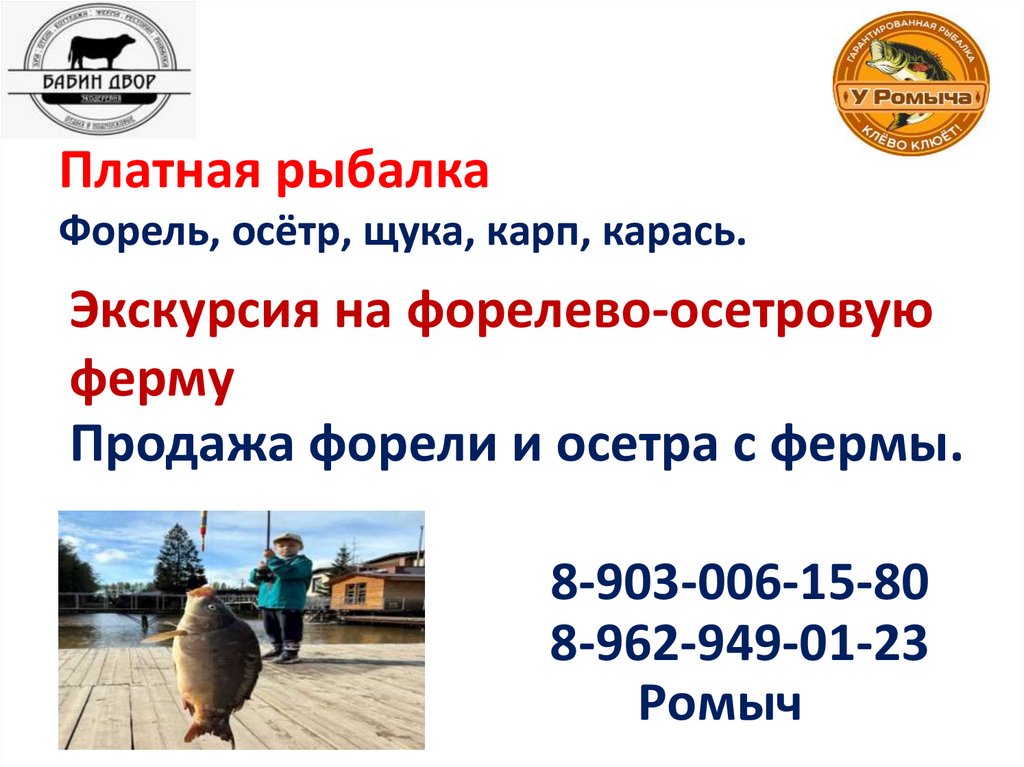 Платная рыбалка Форель, осётр, щука, карп, карась.