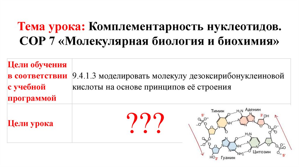 Тема урока: Комплементарность нуклеотидов. СОР 7 «Молекулярная биология и биохимия»