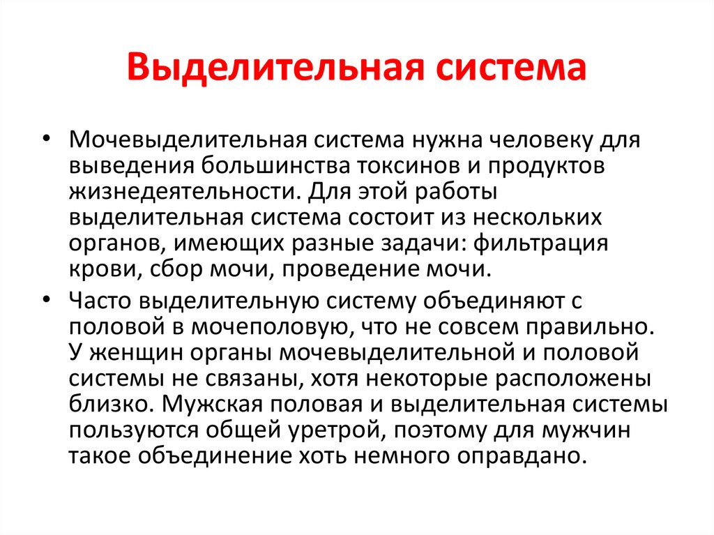Выделительная система
