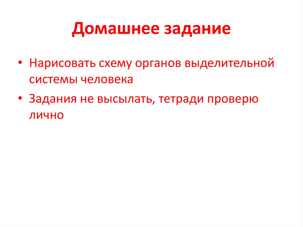 Домашнее задание