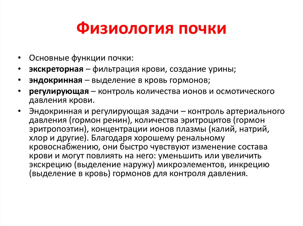 Физиология почки