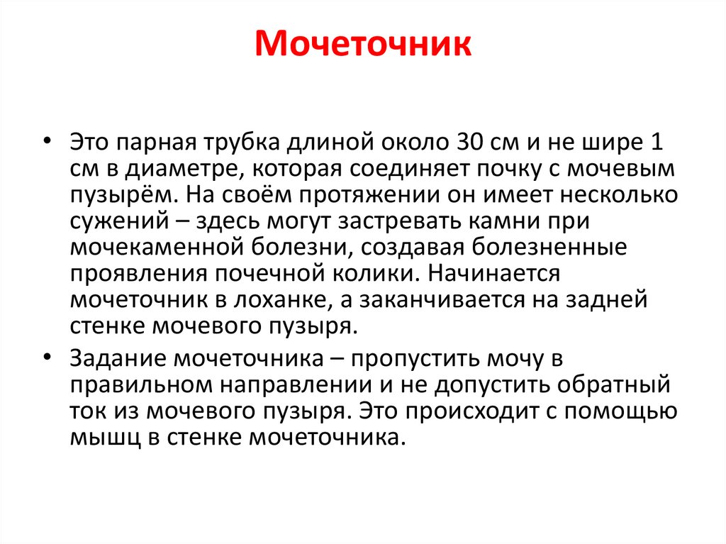 Мочеточник