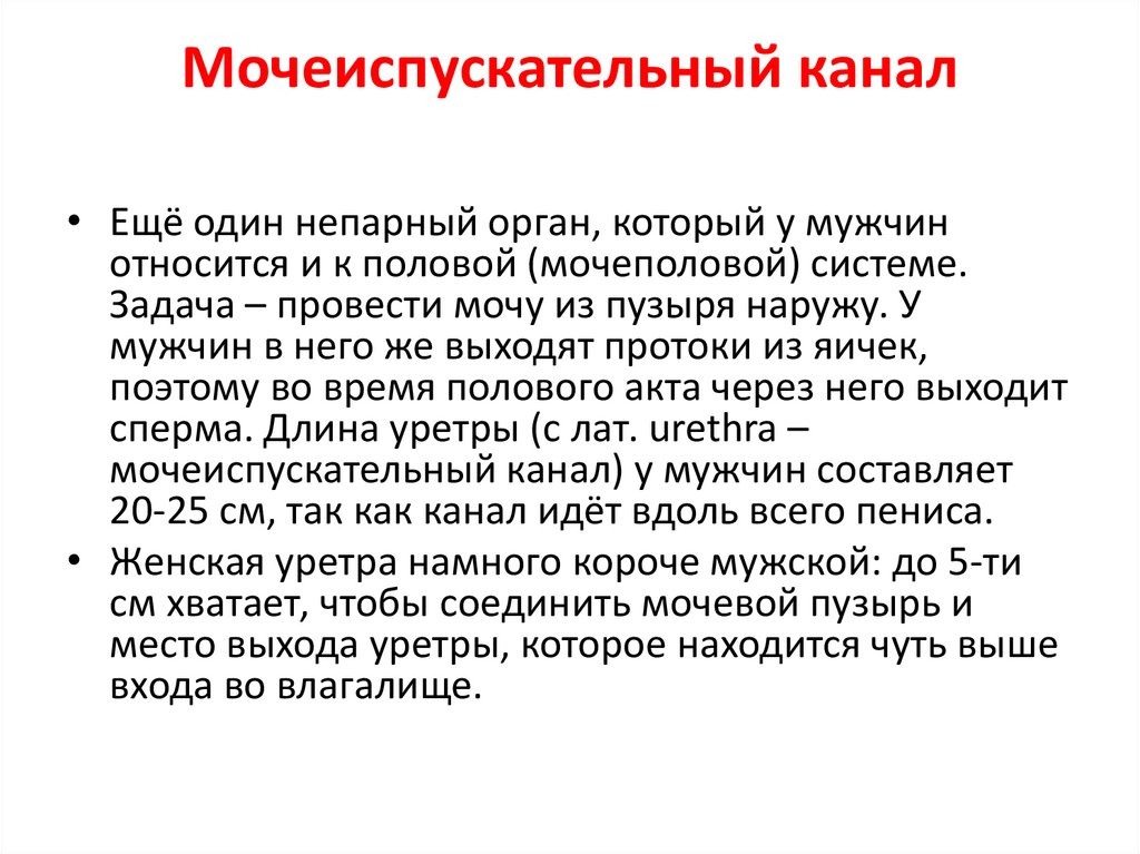 Мочеиспускательный канал