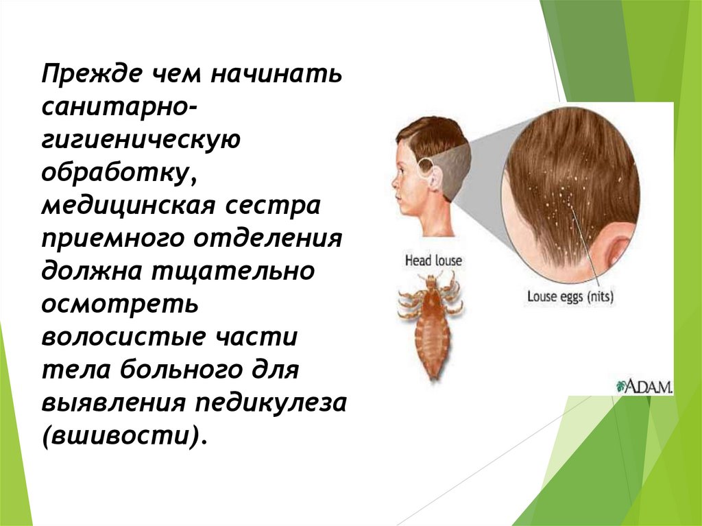 Прежде чем начинать санитарно-гигиеническую обработку, медицинская сестра приемного отделения должна тщательно осмотреть
