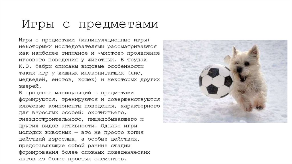 Игры с предметами